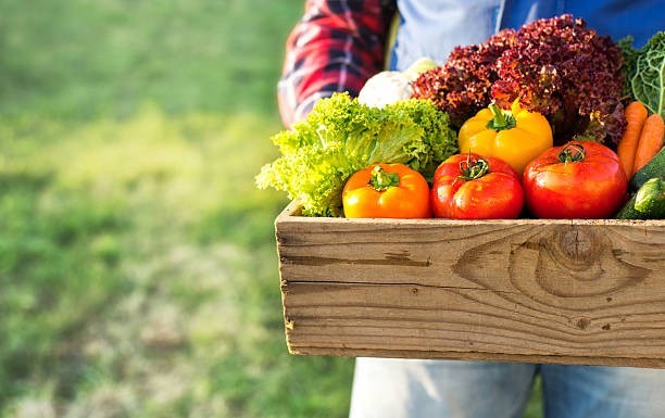 Agriculture Goods
